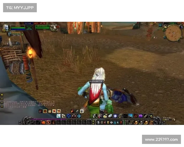 魔兽世界怀旧服猎人操作视频：掌握猎人技巧，征服艾泽拉斯